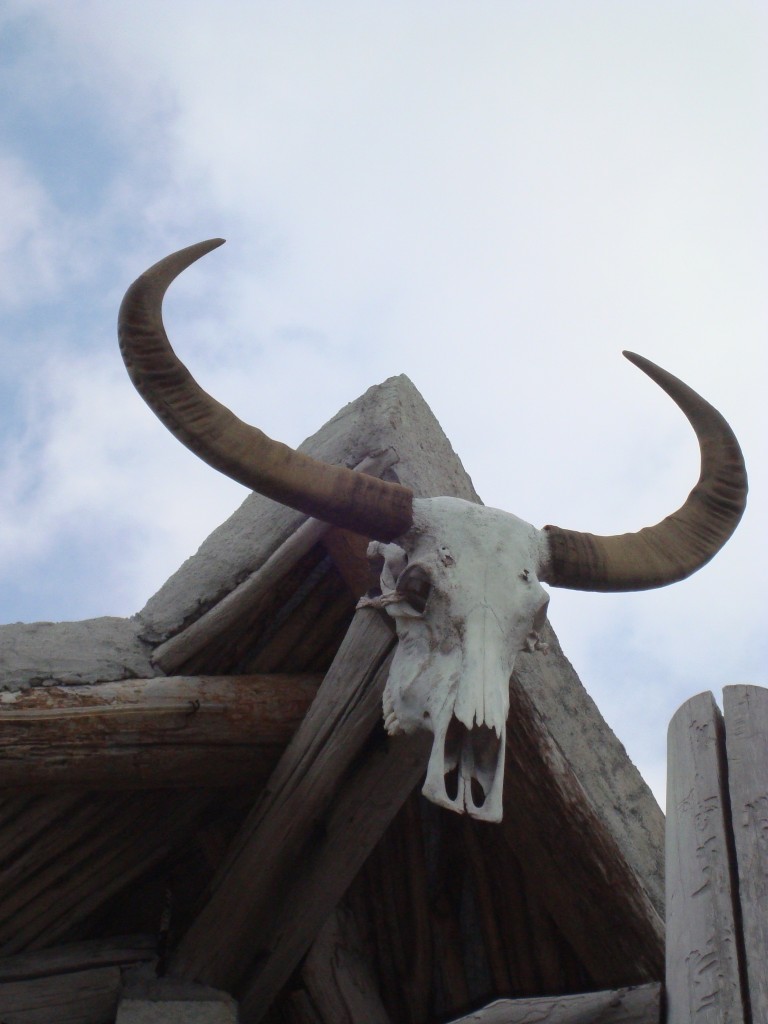 There were several of these skulls hung about the resort.