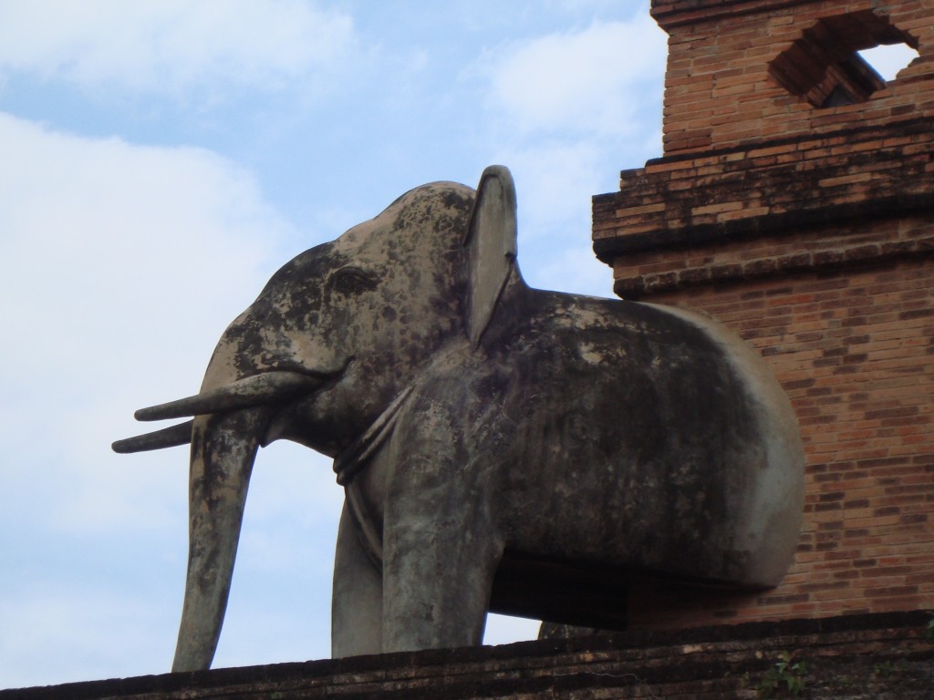 Close up of elephant on the side of Wat Chedi Luang