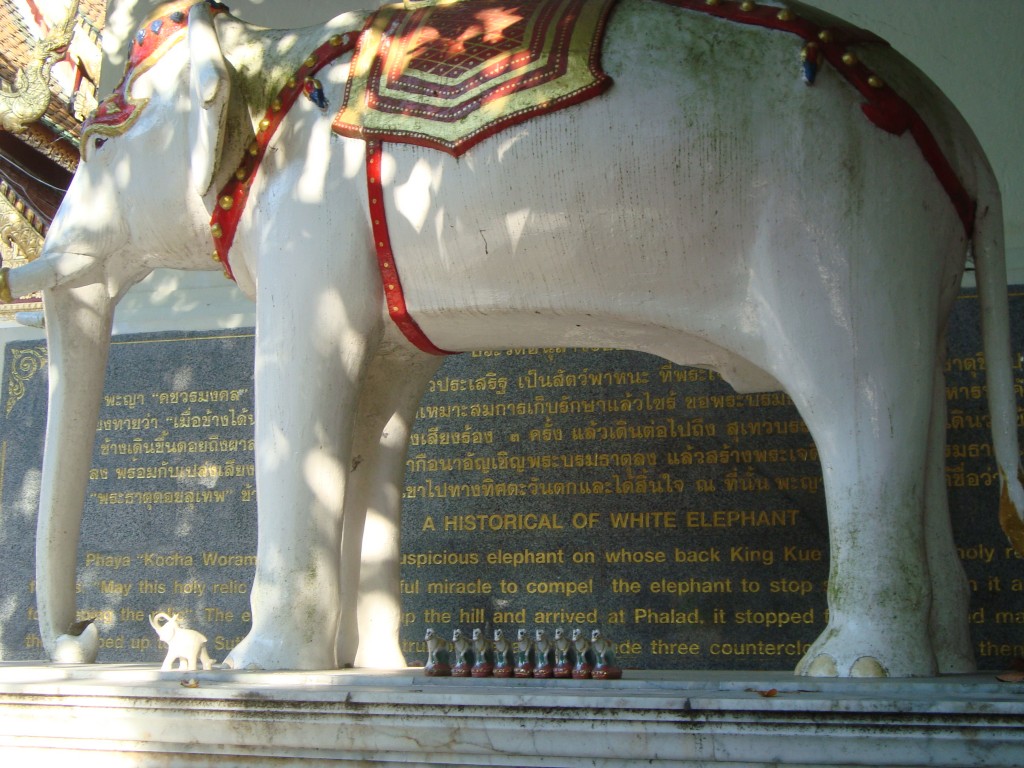 White elephant shrine at Doi Suthep. Legend has a white elephant carried a significant religious relic to this mountain and died there, so religious rulers took it as a sign and had a temple built there.